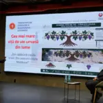 Виноградная лоза из 400 человек в Кишиневе — Молдова нацелилась на рекорд Гиннесса
