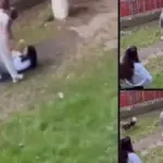 В Кишинёве сверстницы избили 14-летнюю девочку — полиция завела уголовное дело