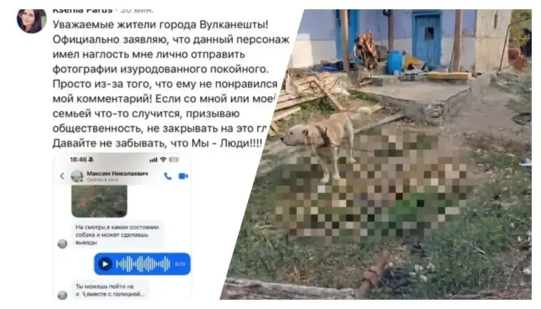 Трагедия с алабаем в Вулканештах: вопросы к владельцам собак, обвинения властей и конфликт в соцсетях
