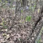 Ночной взрыв в Новоаненском районе: возле села Джамэна нашли неизвестный объект