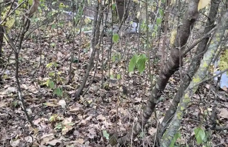 Возможное падение дрона в Молдове: что известно о взрыве у Джамэны
