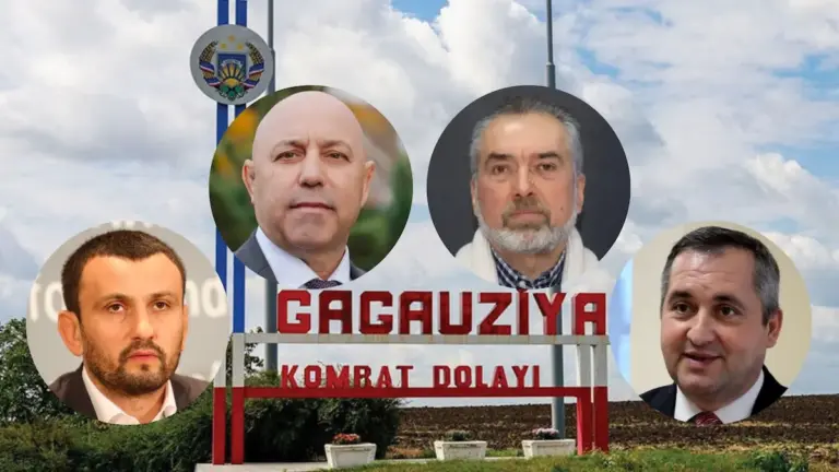 Что говорят и о чём молчат декларации Дудника, Влаха, Кыльчика и Гаризана