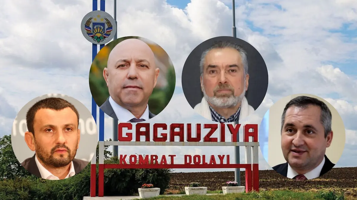 Что говорят и о чём молчат декларации Дудника, Влаха, Кыльчика и Гаризана