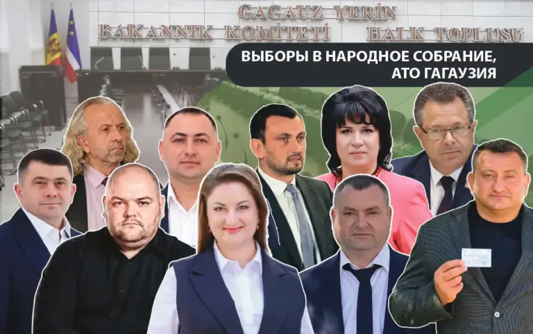 профили 10 кандидатов в депутаты НСГ