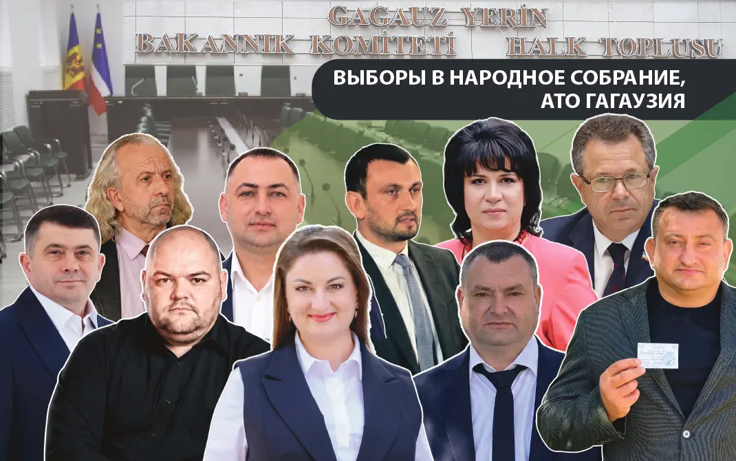 профили 10 кандидатов в депутаты НСГ