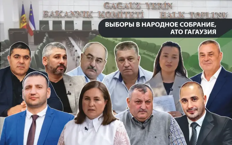 профили кандидатов в депутаты Народного собрания Гагаузии