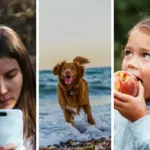 Игнорщики тоже переживают, недосып сокращает выносливость, а собаки понимают форму слов — научный дайджест