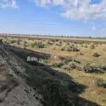 На окраине Вулканешт незаконно добывали песок и глину — ущерб оценили в 19 млн леев