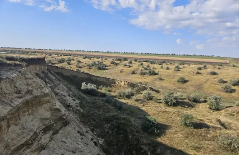 На окраине Вулканешт незаконно добывали песок и глину — ущерб оценили в 19 млн леев