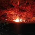 В Окницком районе пожарные остановили огонь рядом с лесом