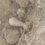 На железной дороге между Каушанами и Бендерами нашли снаряд