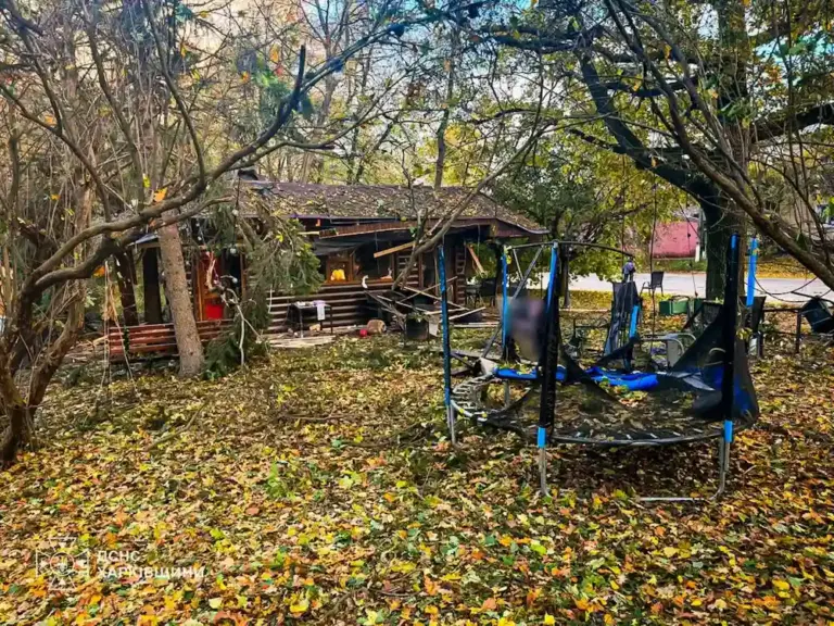 Удар по парку поселка Новая Водолага в Харьковской области