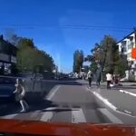 (ВИДЕО) В Хынчештах водитель едва не сбил школьницу на переходе — его могут лишить прав