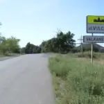 «Любая собака требует правильного воспитания»: Кинологический союз и зоозащитник прокомментировали трагедию с алабаем в Вулканештах