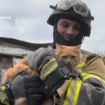 (ФОТО) В Запорожье завершили поиски под завалами дома после российского удара — погибли четверо детей 